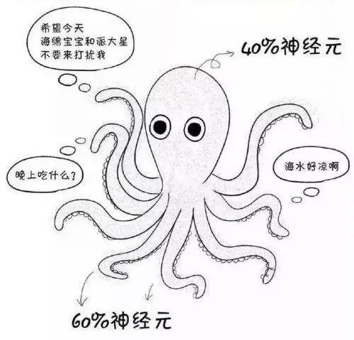 邊緣計算就像是擁有眾多神經元的章魚。