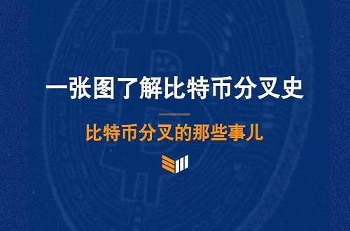 下文有一張比特幣分叉圖總結。雖然沒有涵蓋到所有的分叉，但圖中展示了至今為止的一些最重要的分叉。